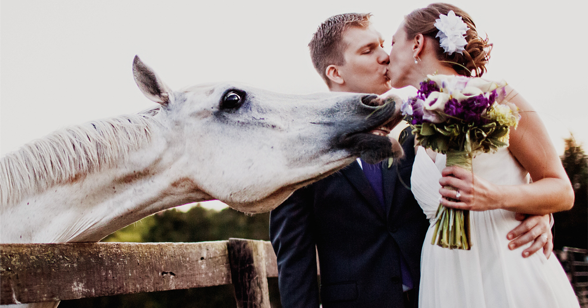 20 Fotos De Casamento Muito Engraçadas Que Vão Colocar Um Sorriso No Seu Rosto Agora Mesmo