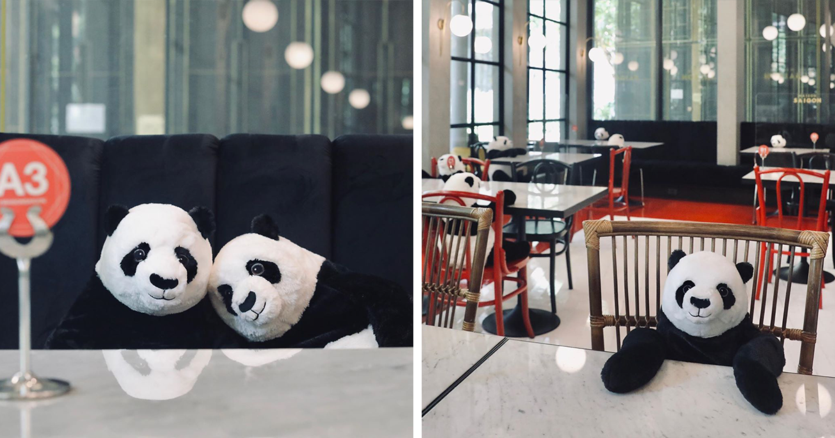 Este Restaurante Na Tailândia Ajuda As Pessoas A Se Sentirem Menos Solitárias Com Pandas De Pelúcia