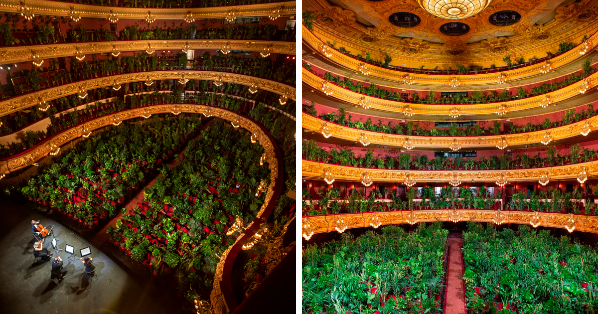 Ópera De Barcelona Reabre Com Performance Diante De Uma Multidão Majestosa De 2.292 Plantas