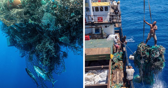 Expedição Havaiana De 48 Dias Bate Recorde De Maior Remoção De Plástico Do Oceano Pacífico