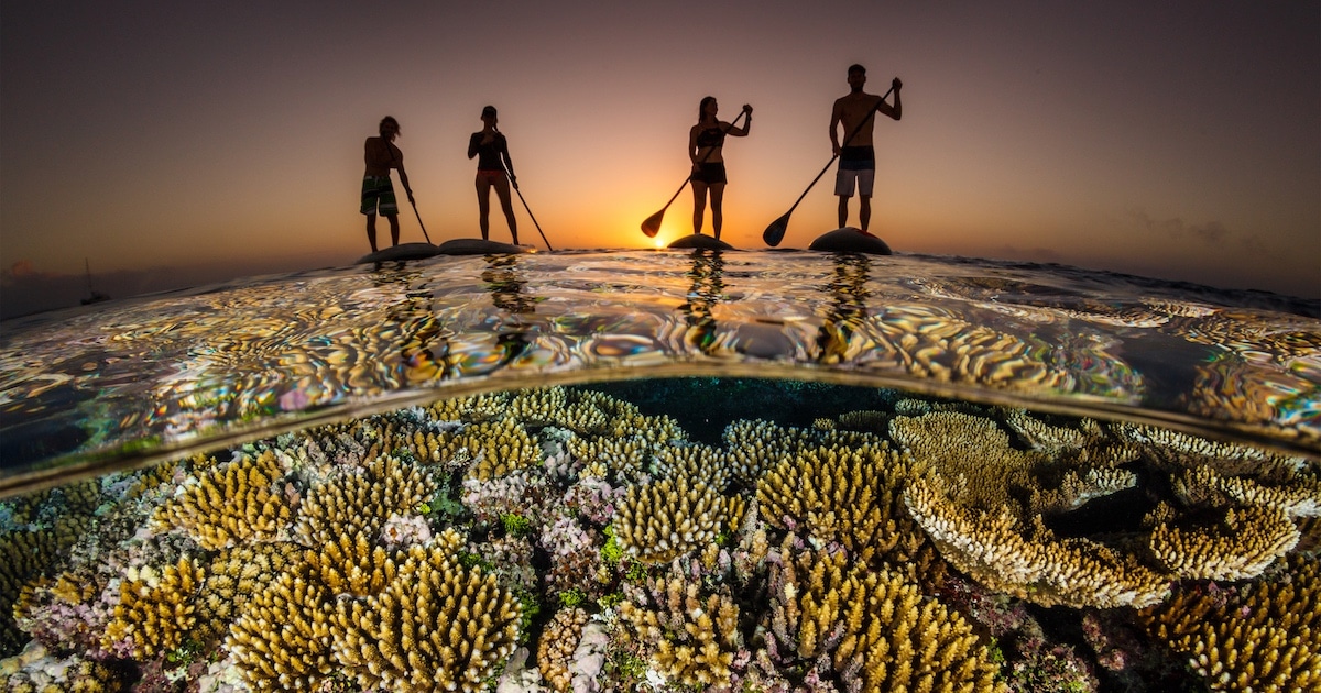 Incríveis Finalistas Do Prêmio De Fotografia Do Oceano Prestam Homenagem Aos Mares Deslumbrantes